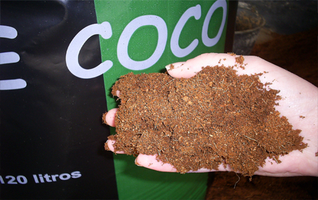 Fibra de coco